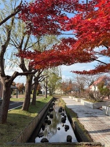 あいの里修景水路の写真