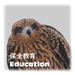 保全教育