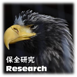 保全研究