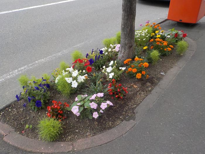 北栄町内会の花壇