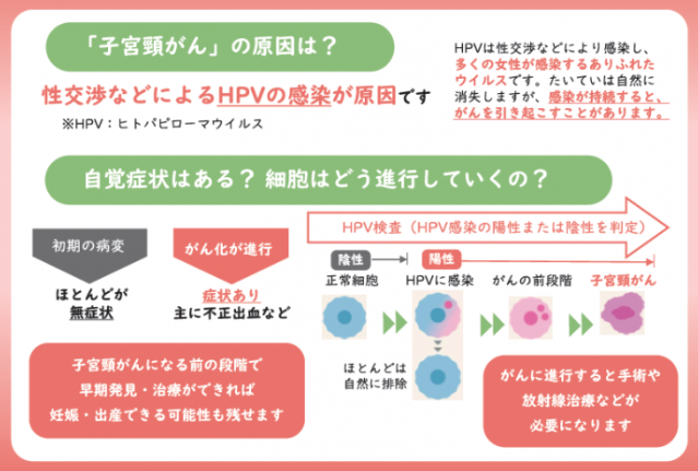 HPVの感染について