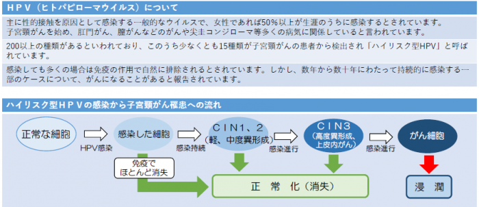 HPVの説明