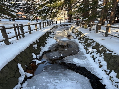 円山川の写真