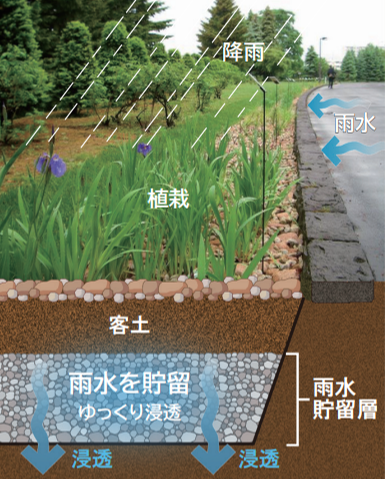雨水浸透緑化の断面図