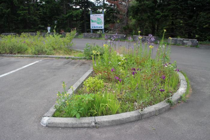 平岡公園1