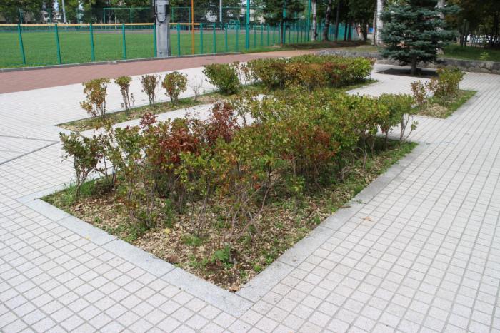 月寒公園1