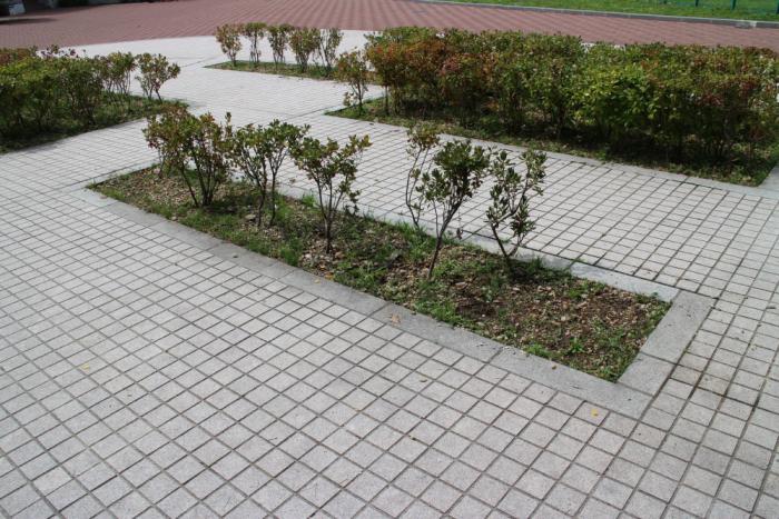 月寒公園2