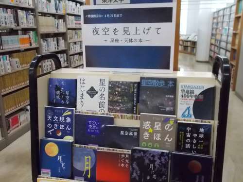 展示の全体写真です。関連本を表紙が見えるように展示しています。