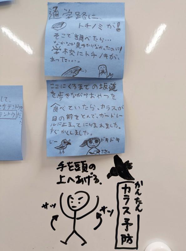 トチノキとカラスの目撃情報