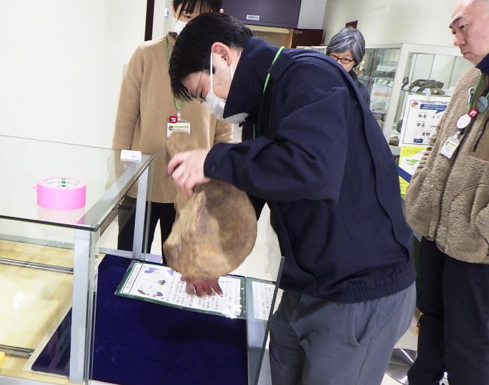 田中学芸員が化石を設置している様子。背骨1つで両手で持つくらいの大きさ。