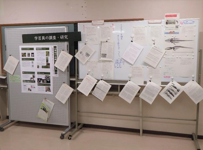 活動報告展「博物館活動日誌'24」の、「学芸員の調査・研究」コーナー。ほかのコーナーでは、2024年度に寄贈された標本や、調査研究の成果、企画展、イベントについても展示しています。