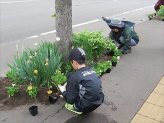 月寒公園植花2