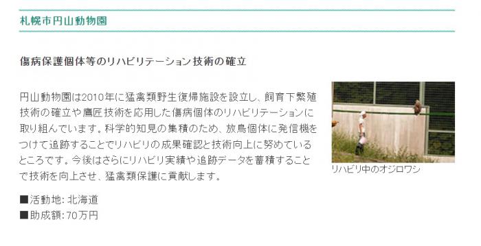 活動内容