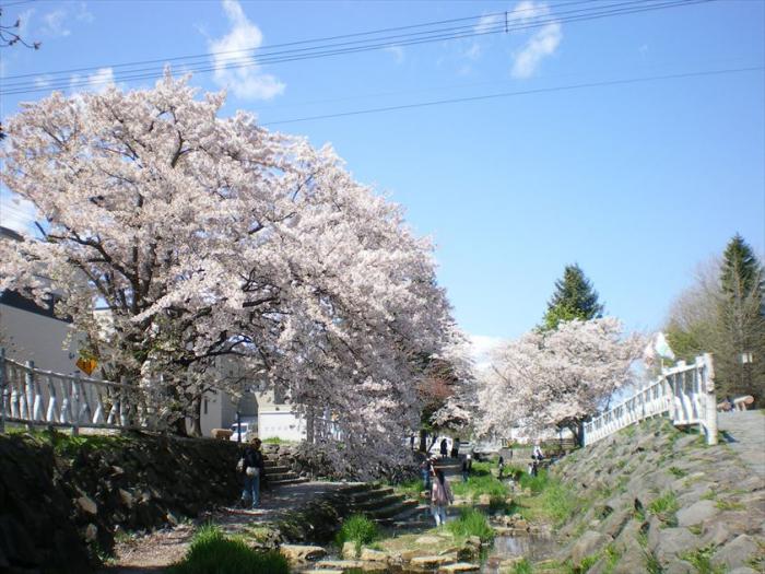安春川5月5日