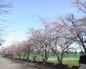 安春公園0428