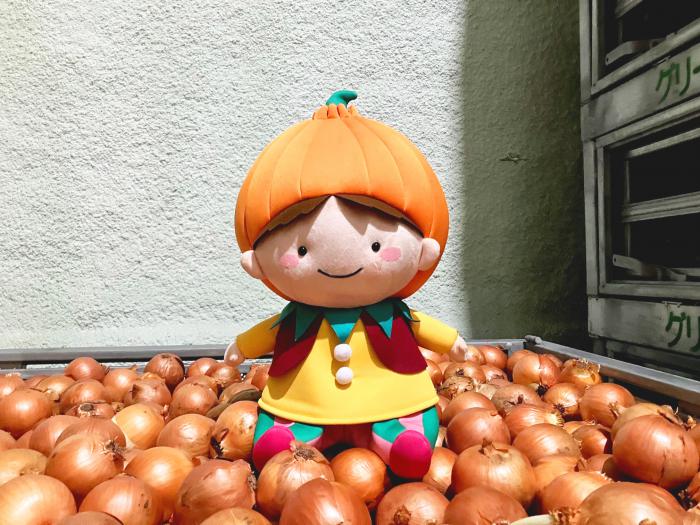 たまねぎの上のタッピー