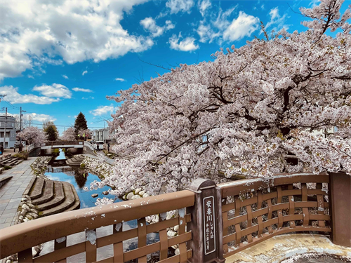 安春川の写真
