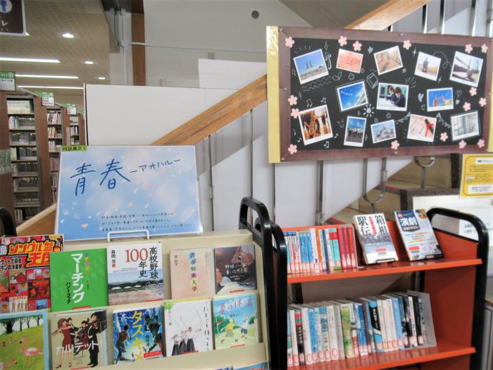 「青春」展示写真1