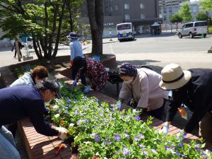 花植えの様子3