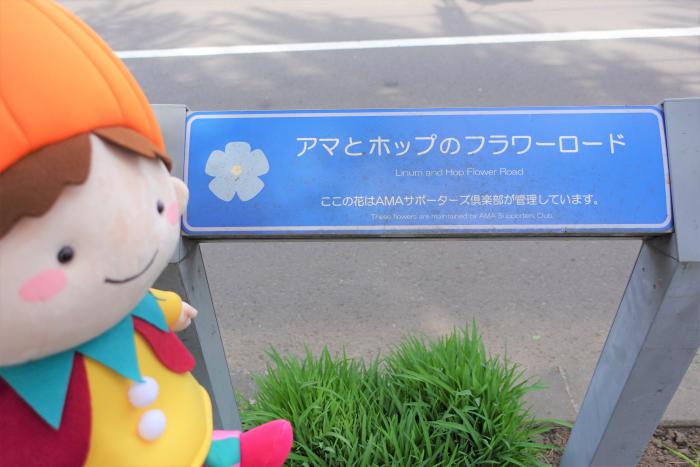看板の様子