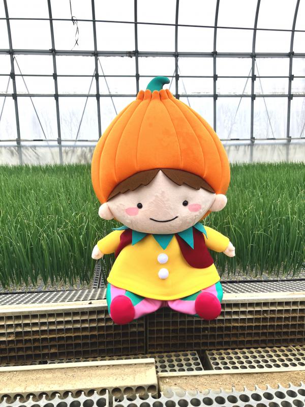 札幌黄ハウス