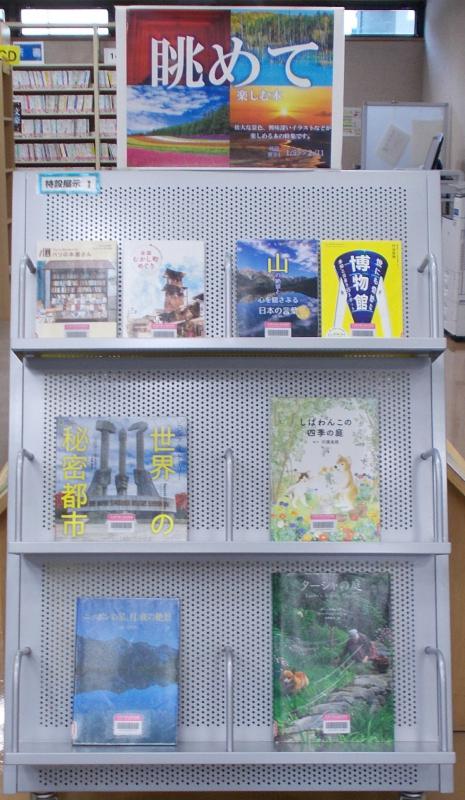 2025年1月8日、展示「眺めて楽しむ本」、写真3