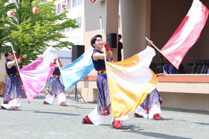 YOSAKOI