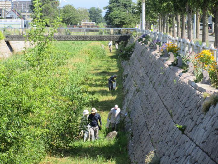 手稲土功川の清掃