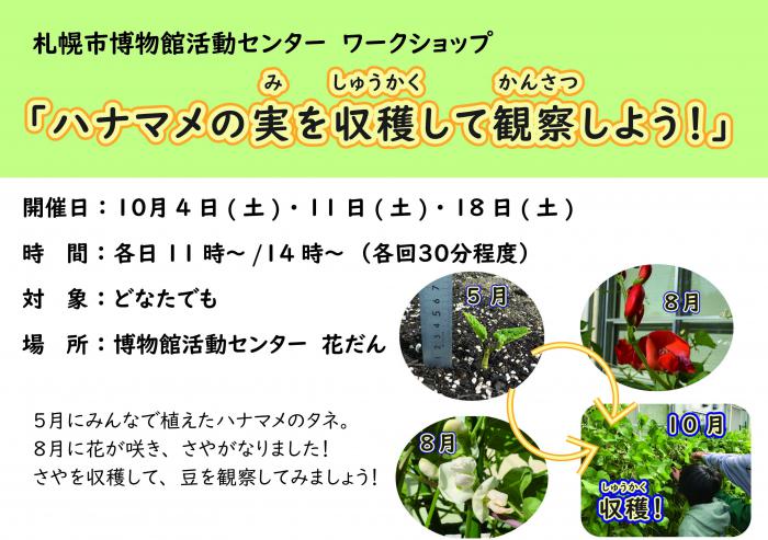 花豆の収穫ポスター