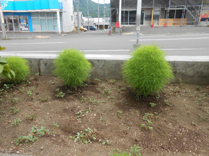 バス停前
