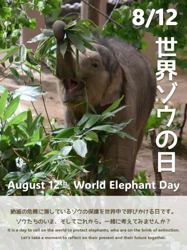 「世界ゾウの日」ポスター