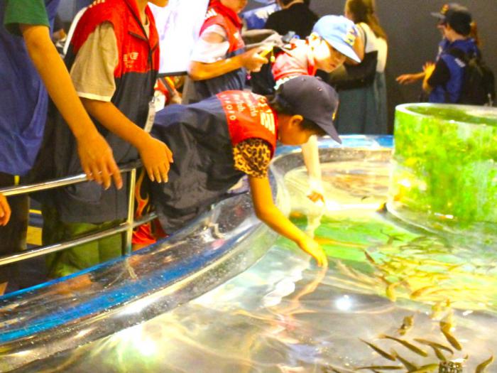 魚に触ろうとしているクラブ員
