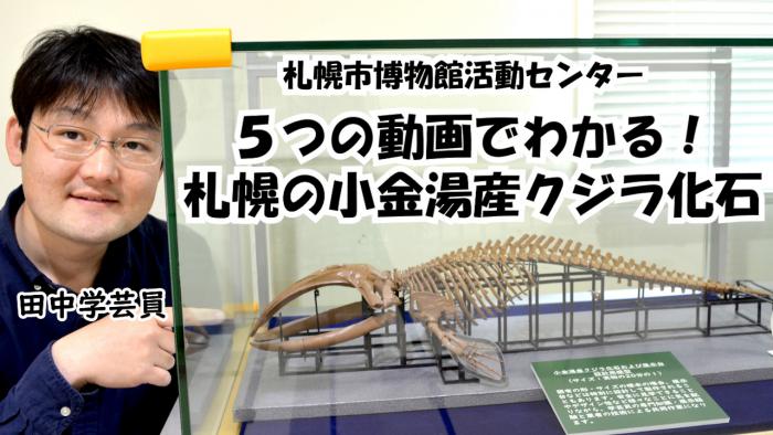 5つの動画でわかる!札幌の小金湯産クジラ化石のサムネイル