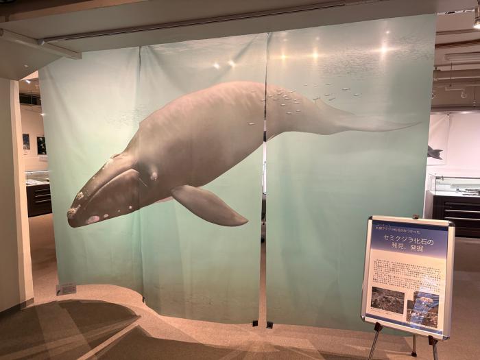 サッポロクジラのタペストリー