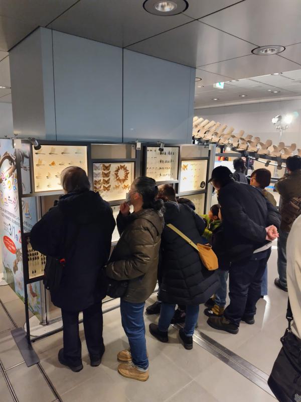 まちなかミュージアム展示