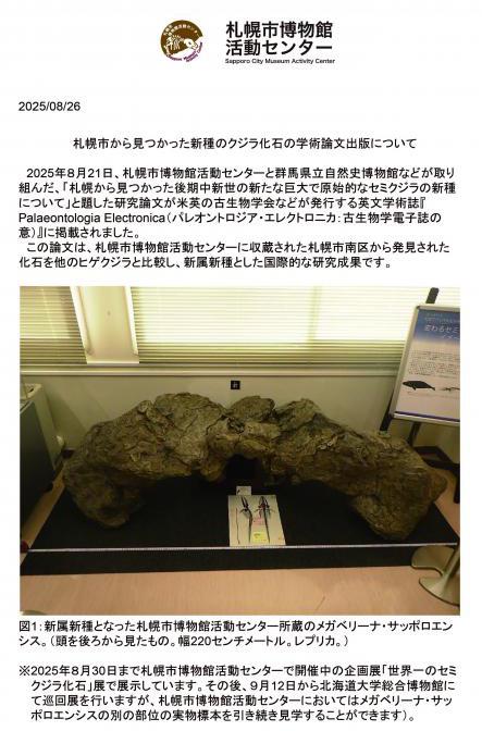 クジラの解説画像