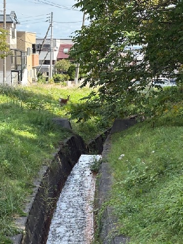 上追分川の写真