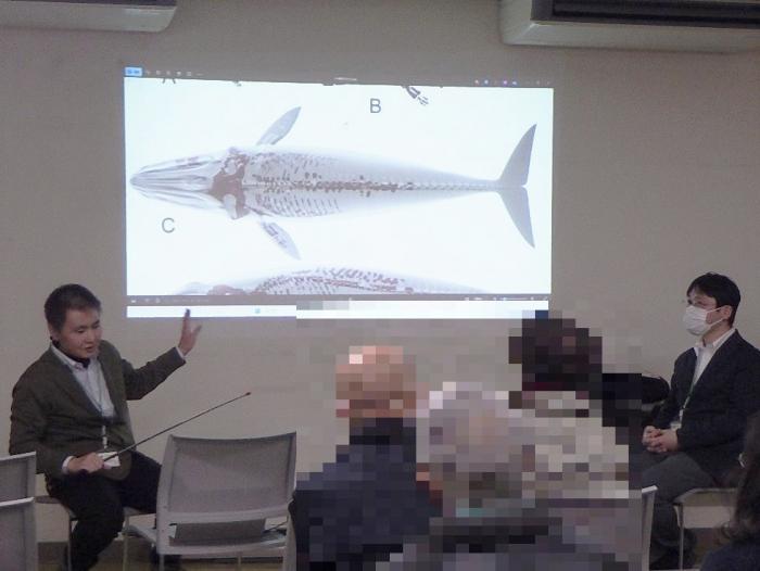 新村学芸員によるミュージアムトークの様子