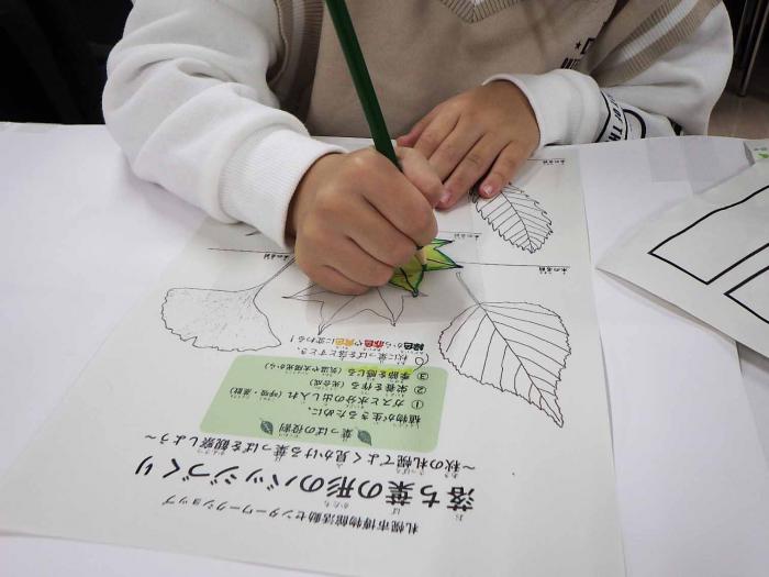 葉っぱの絵が描かれた紙の上にプラバンをのせて、ペンで形をなぞっている様子