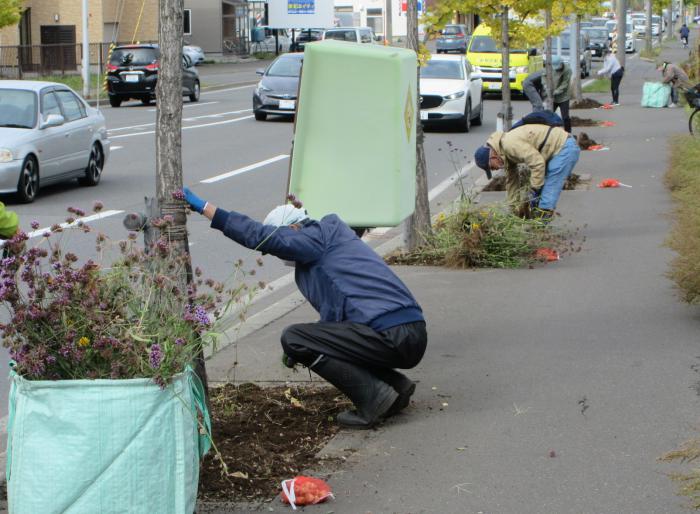 秋の花壇制作