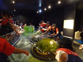 合同研修会
