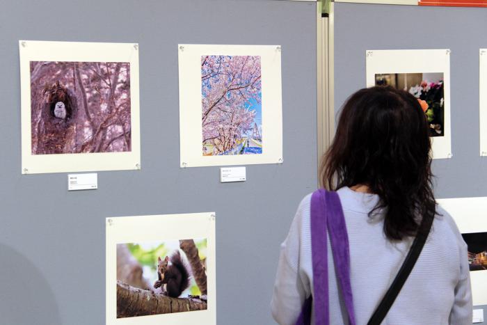 展示の様子