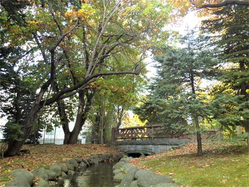 鴨々川(創成川)の写真