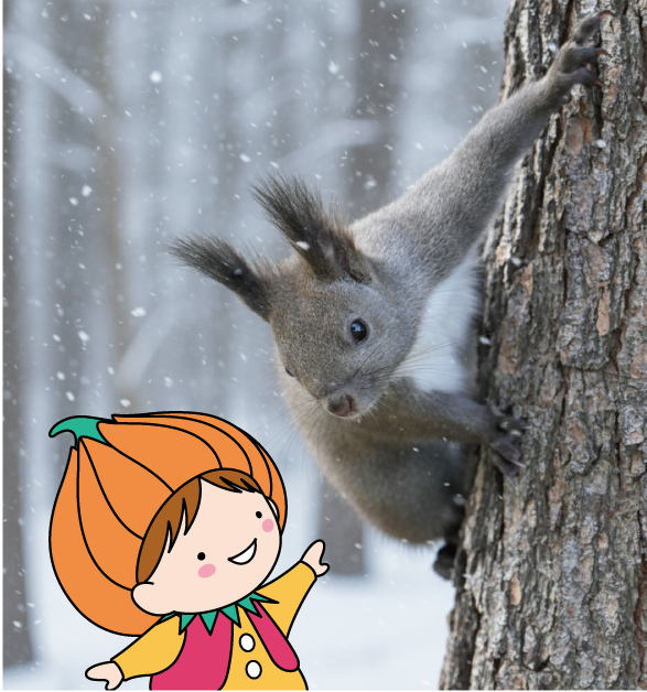 エゾリスとタッピー
