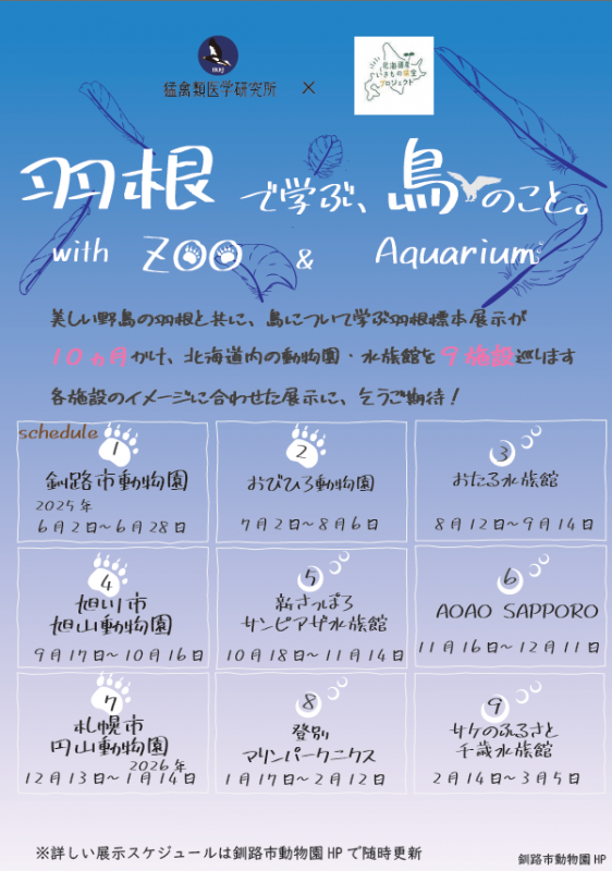 羽根展ポスター