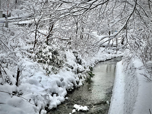 盤渓川の写真