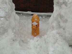 消火栓除雪の画像