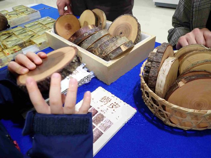 屋内で樹木の円ばんを観察する様子