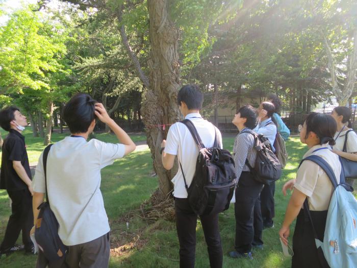 現地研修3日目の写真2