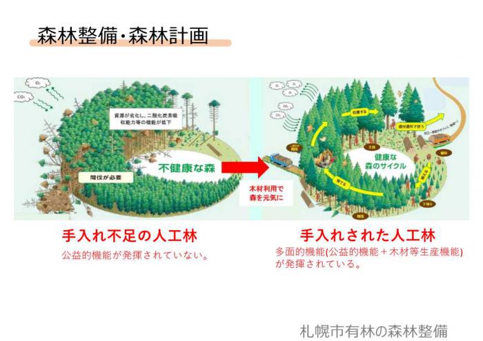 森林整備・森林計画